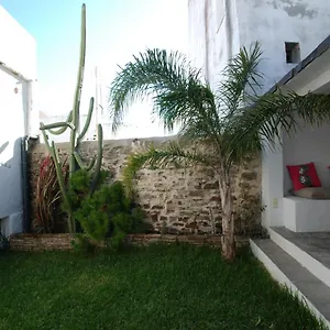 Koala , Tarifa Spain